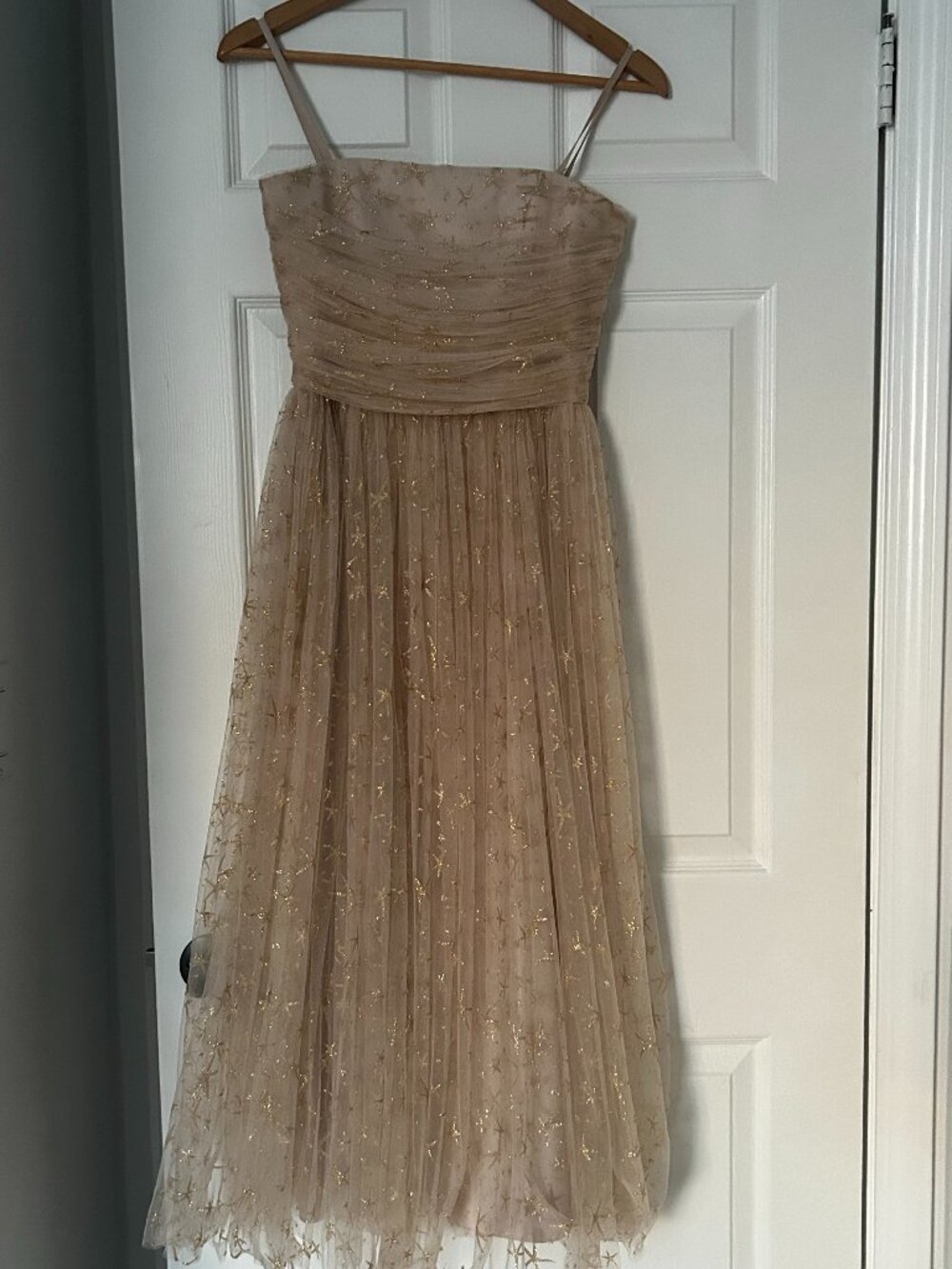 Anthropologie Pink Champagne dress